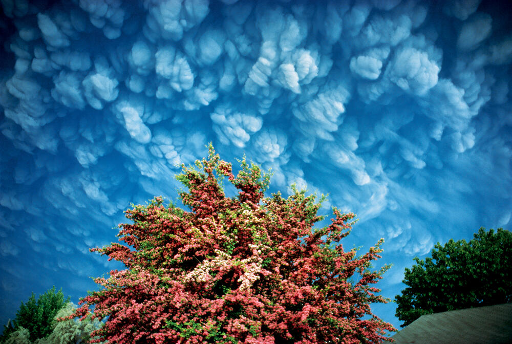 Ash cloud from May 18, 1980 eruption of Mount St. Helens over Ephra...