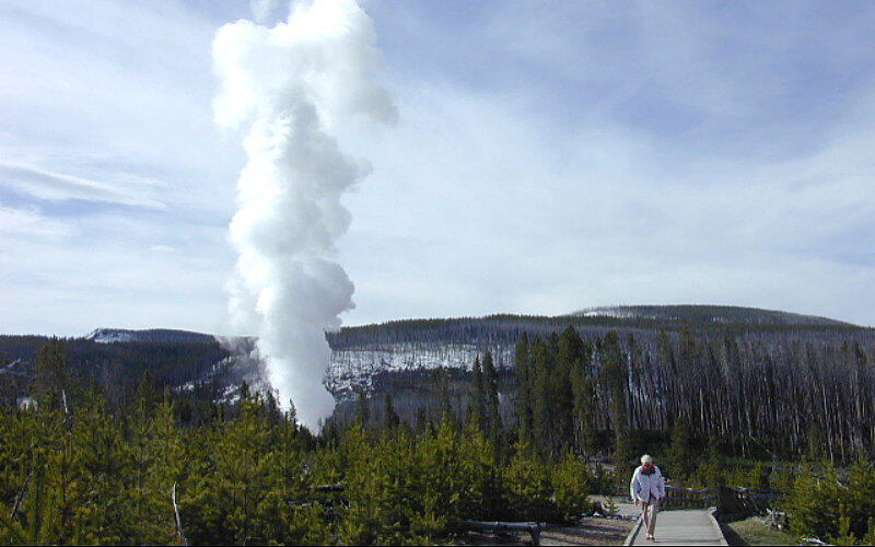 Steamboat Geyser in eruption seen from the boardwalks in Norris Gey...