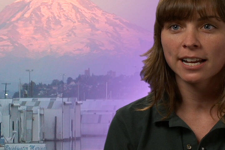 USGS geologist, Angie Diefenbach, describes how she uses GIS, (Geog...