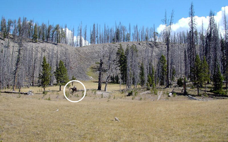Ground view of Yellowstone's caldera rim outermost NE fault....