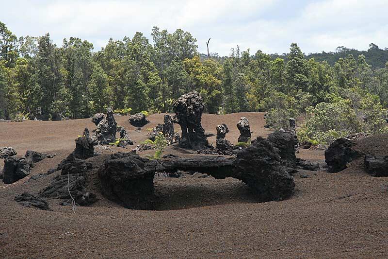 Family of lava tree casts...