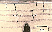 Cross-section view, slight shearing along fractures....