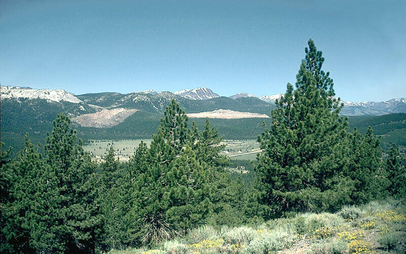 Glass Creek and Obsidian Flow from atop Lookout Mountain, Long Vall...