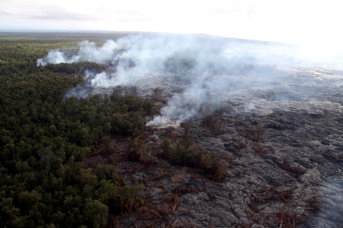 A closer view of the active flows at the forest boundary, and the n...