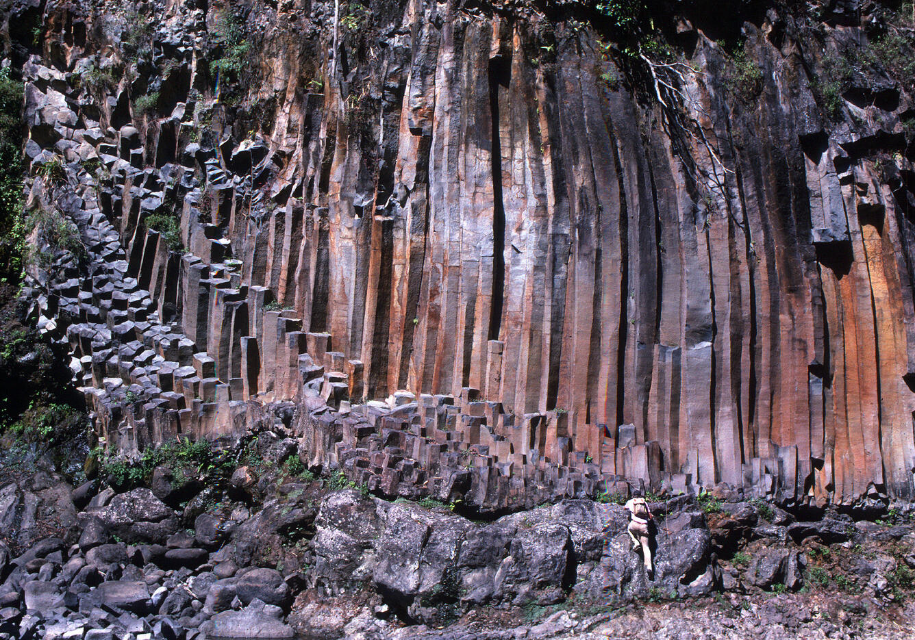 Columnar jointing provides clues to cooling history of lava flows ...