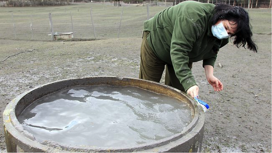 Water infiltrated water supply trough used for livestock drinking w...