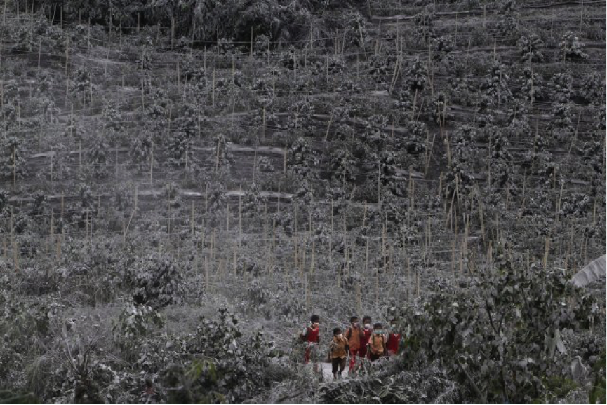 Ash blanket over young forest in Mardingding village, Indonesia fro...