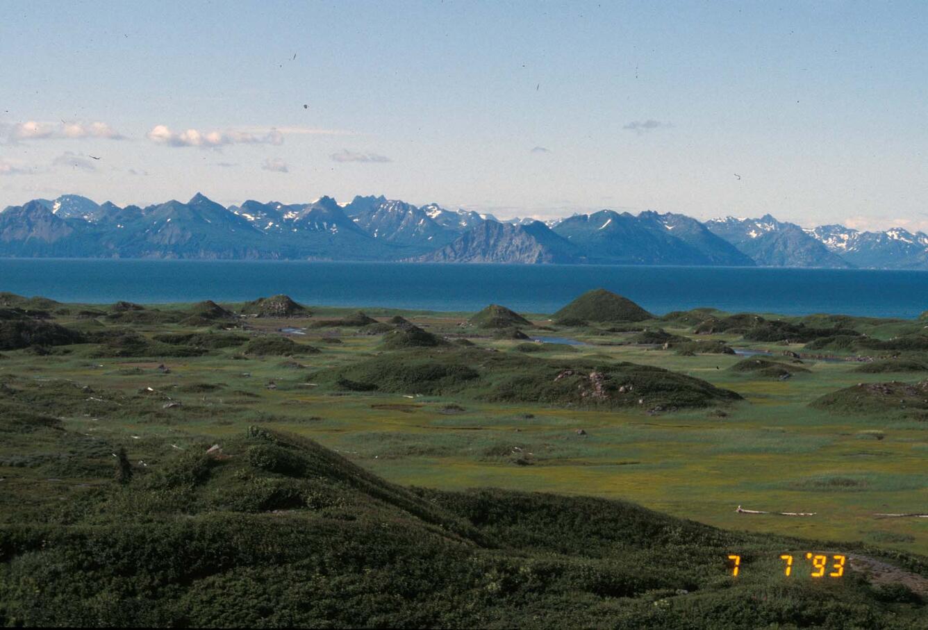 Hummocks on West Island, Alaska, 8 km (5 mi) WNW from Augustine Vol...