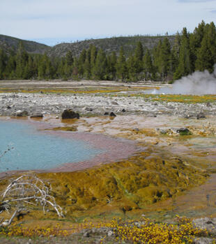Biscuit Basin, Yellowstone ...