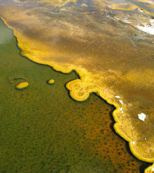 Upper Geyser Basin, Yellowstone...