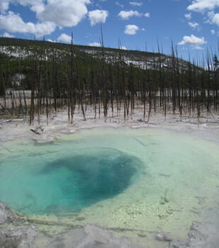 Cistern Spring, Yellowstone...