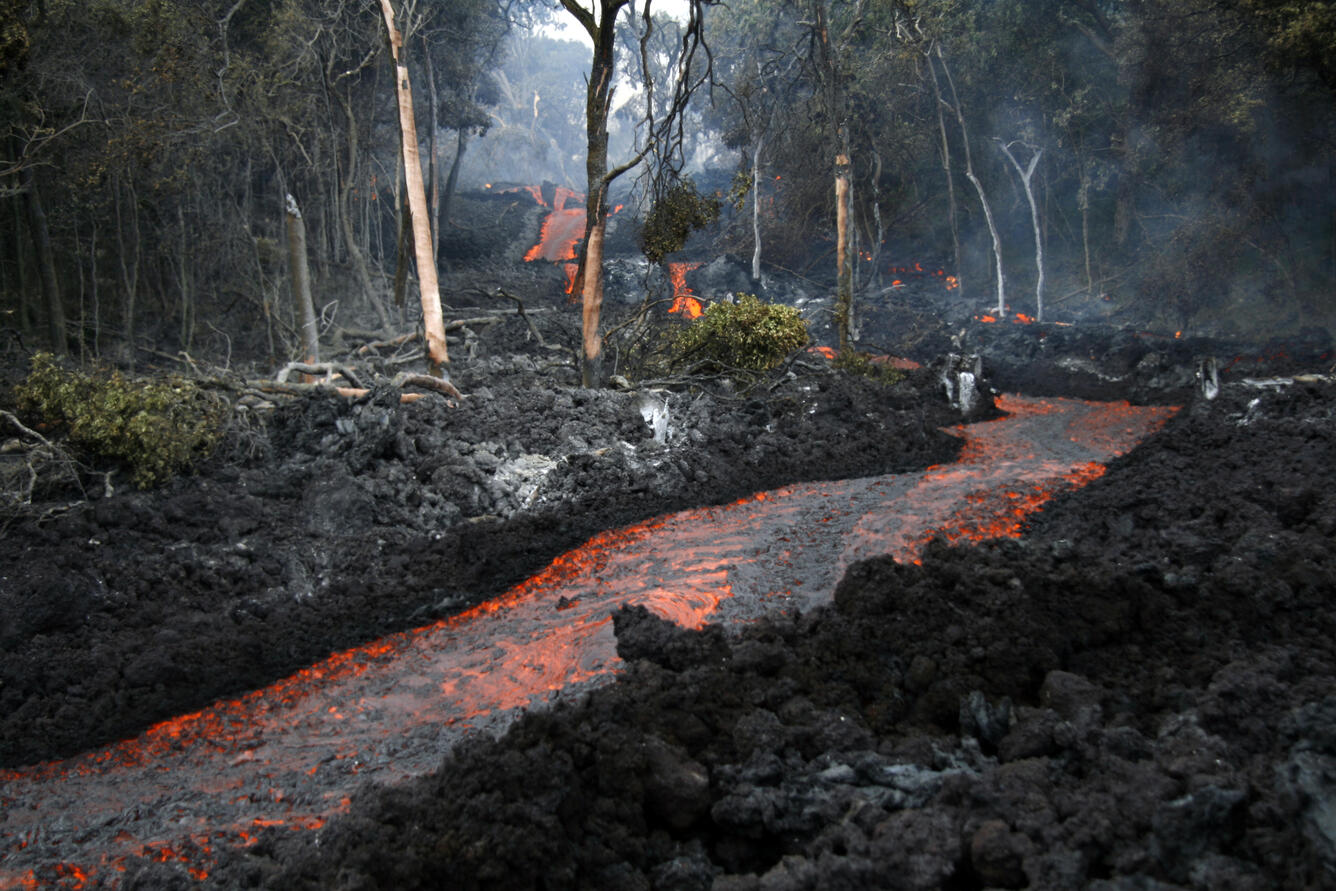 Stream of lava from Pu‘u ‘Ō‘ō flowing through the forest in the Roy...