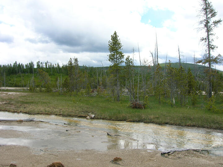 Porcelain Tributary, Norris Geyser Basin, Yellowstone National Park...