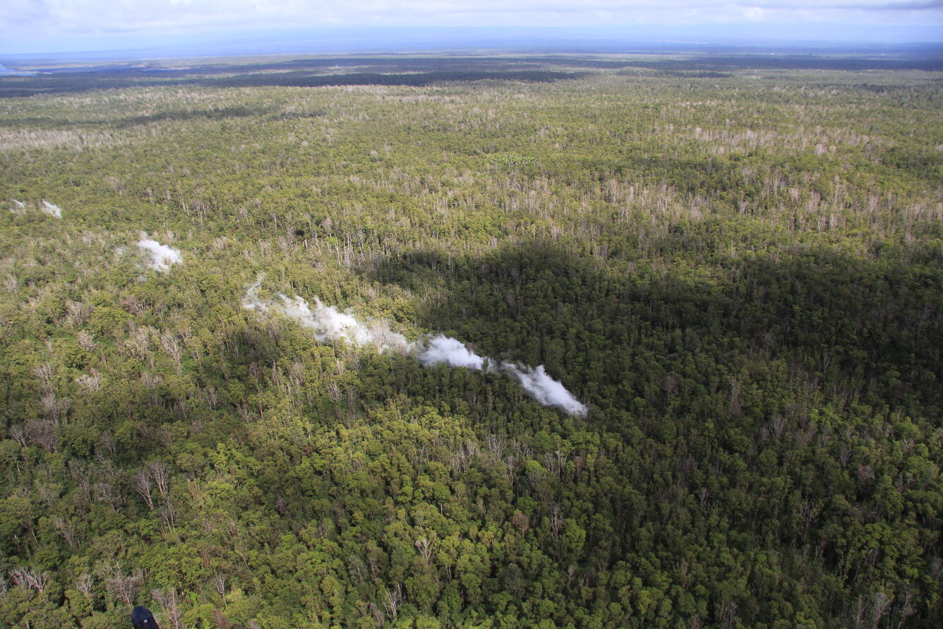 Looking west, this photo shows the far end of the steaming that ext...