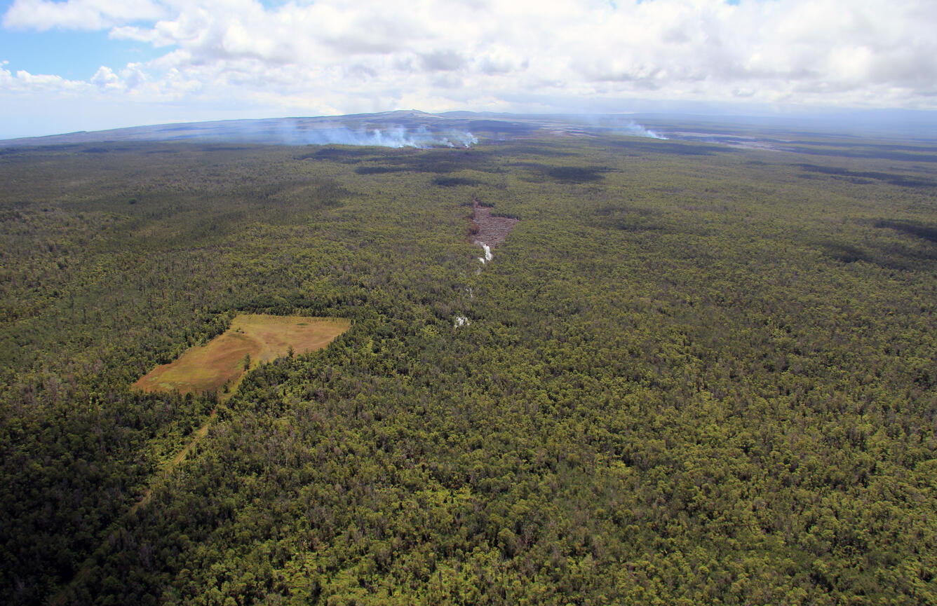 Steaming extends northeast along ground crack, suggesting lava is a...