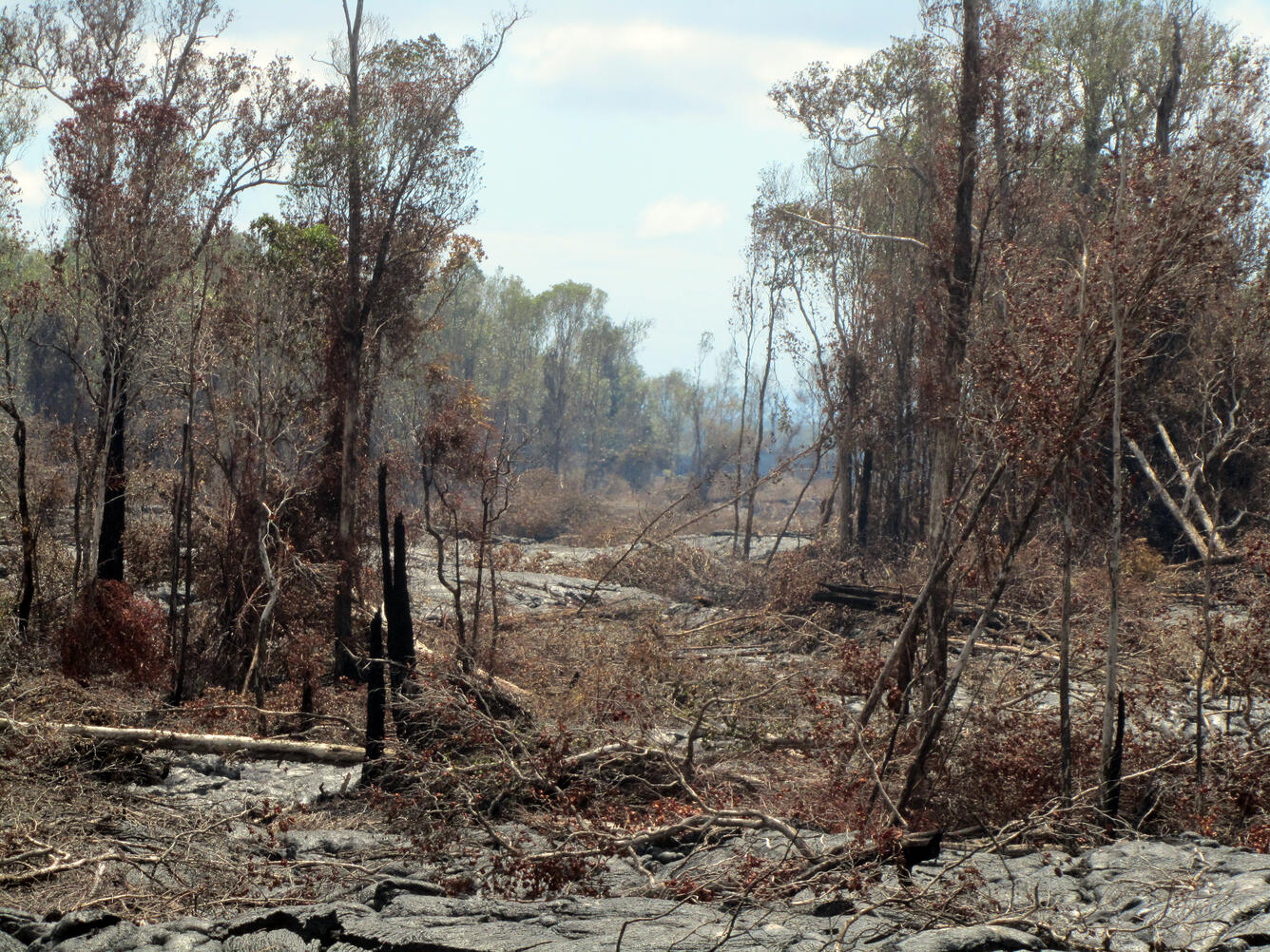 Breakouts remain scattered along the June 27th lava flow, and are n...