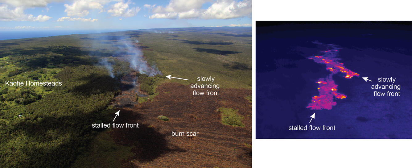 The thermal image on the right provides a different view of the flo...