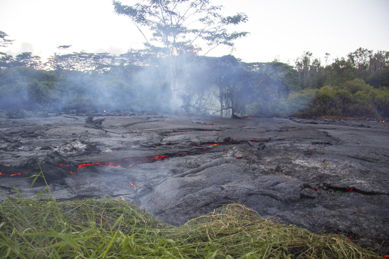 A view of the flow front from the ground, showing the pāhoehoe lava...