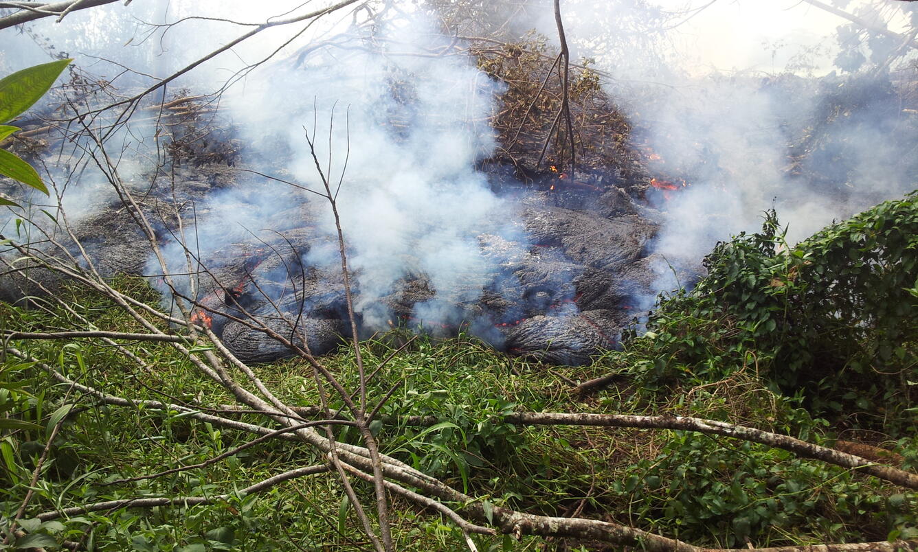 The June 27th lava flow burns through thick vegetation below the pa...