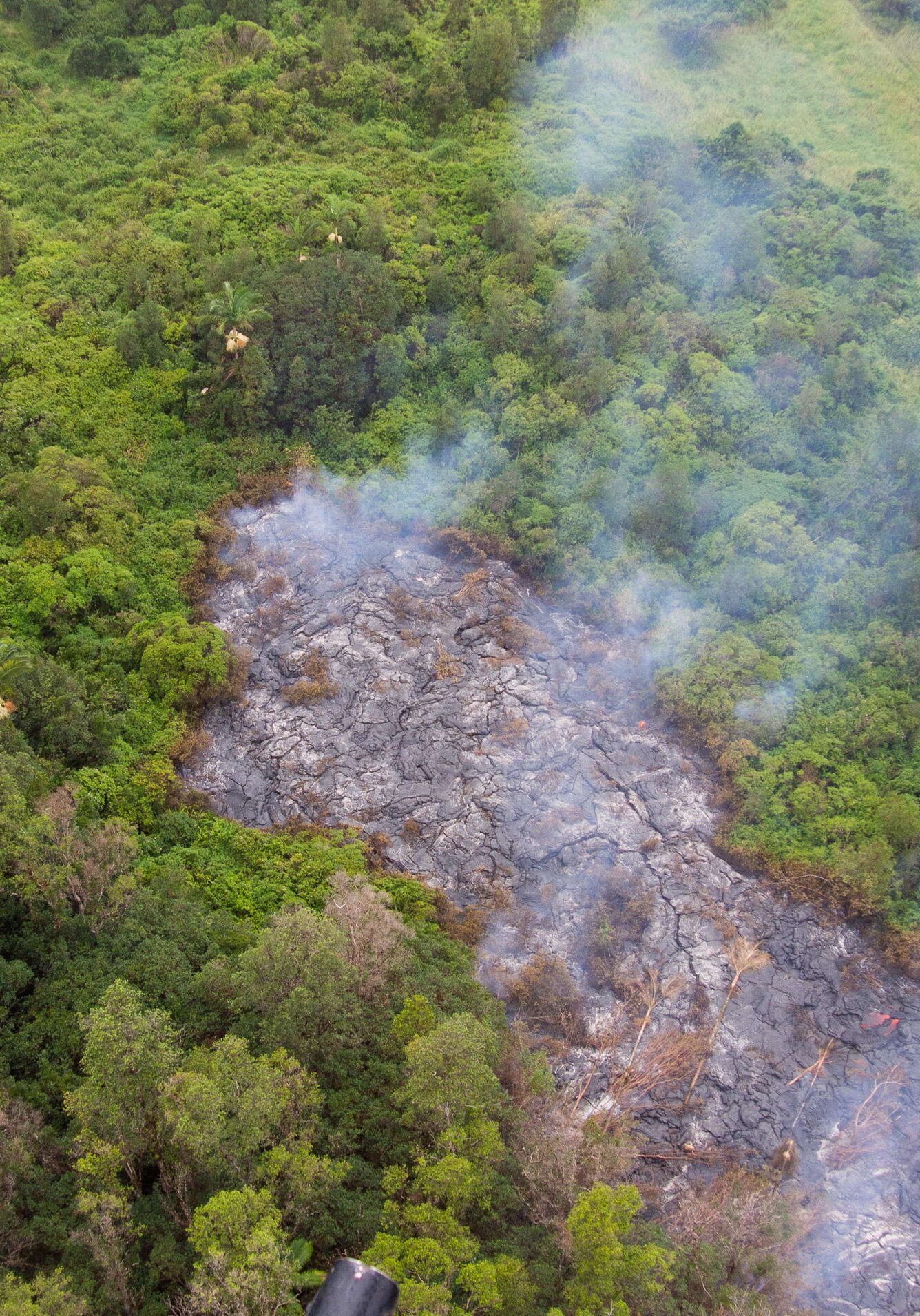 A small finger of lava has advanced into the vegetation just east o...