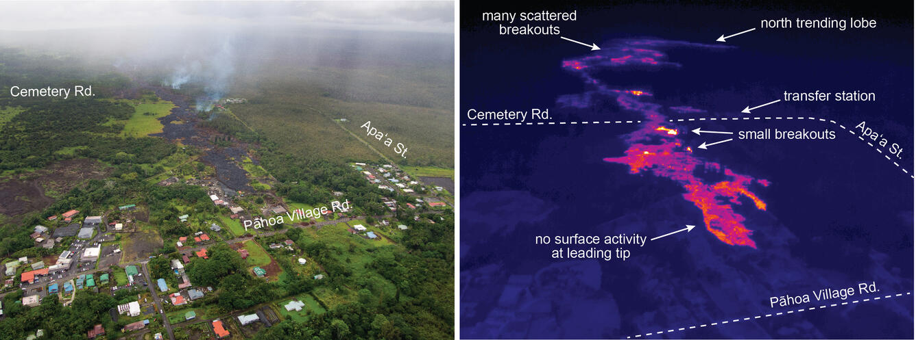 A comparison of a normal photograph with a thermal image of the flo...