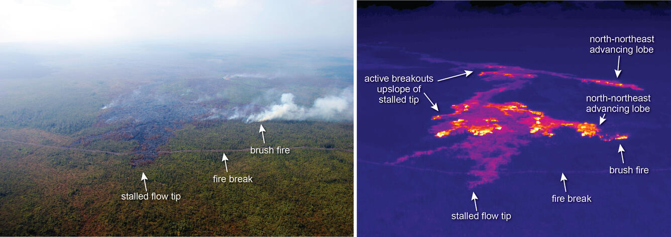 This comparison of a normal photograph and a thermal image shows th...