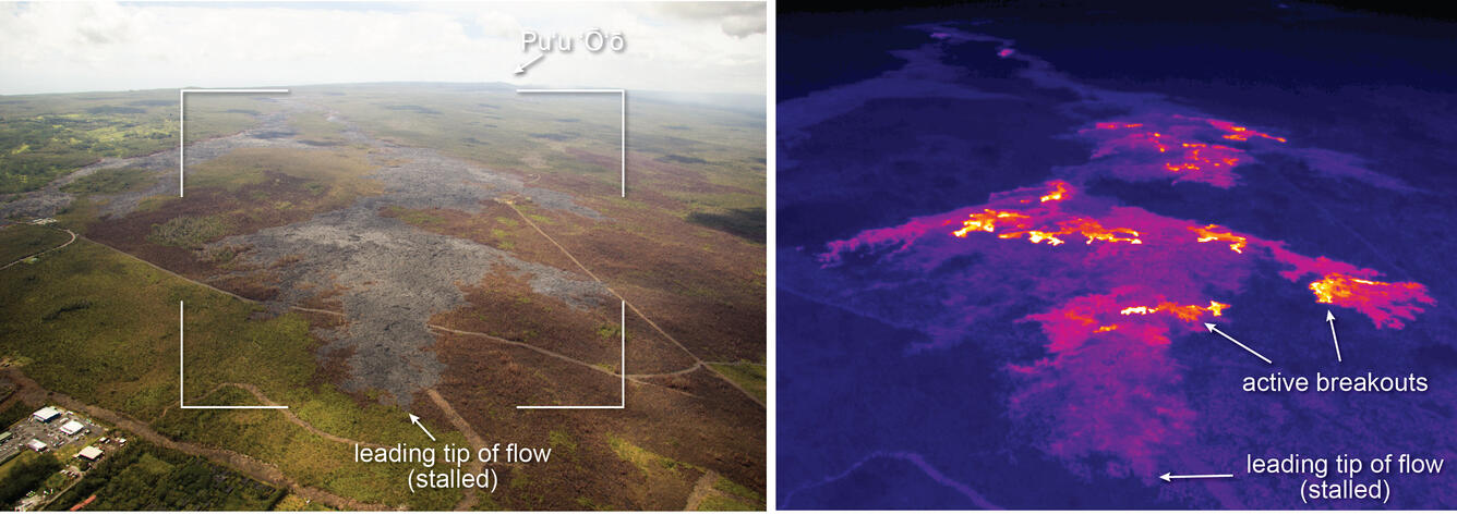 This comparison of a normal photograph and a thermal image shows th...