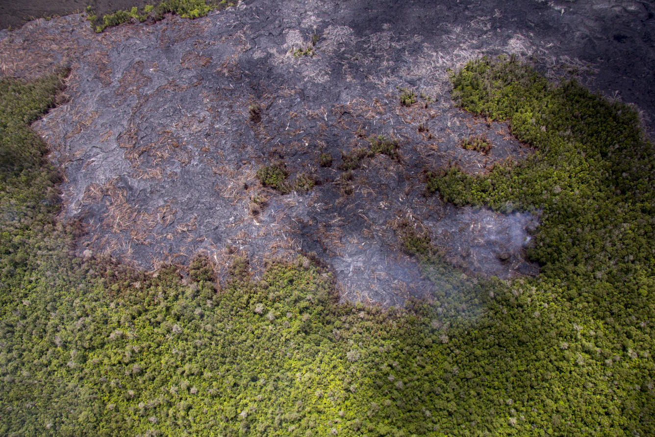 Scattered breakouts northeast of Pu‘u ‘Ō‘ō, but little forward adva...