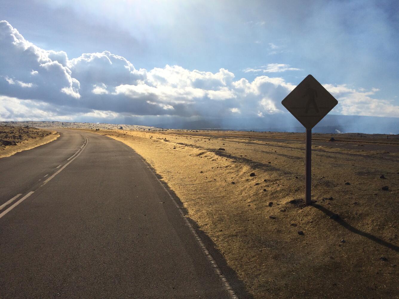 Pele's hair covers the roadside along Crater Rim Drive, next to the...