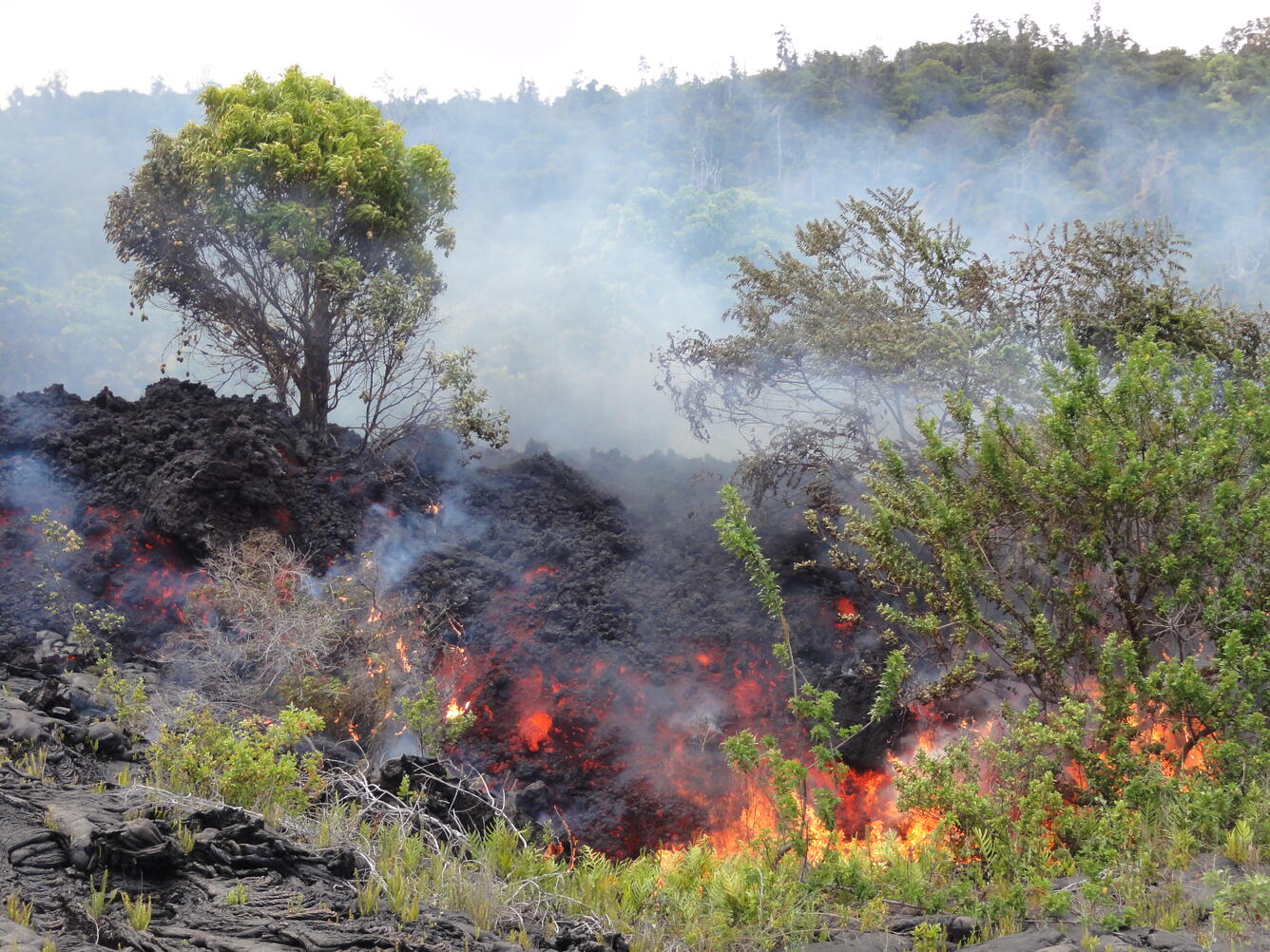 Flow front reaches base of pali, burning vegetation...