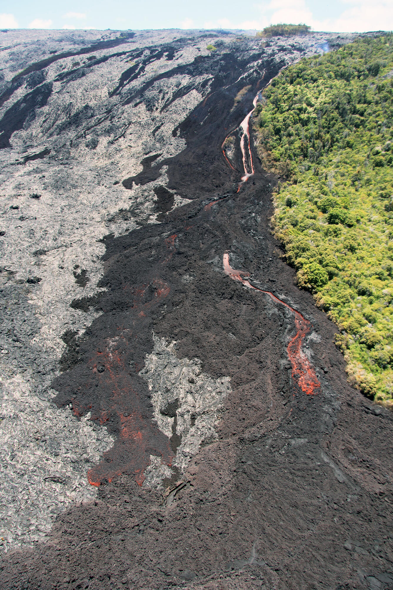 A view looking up the pali, with the channels feeding lava to the f...