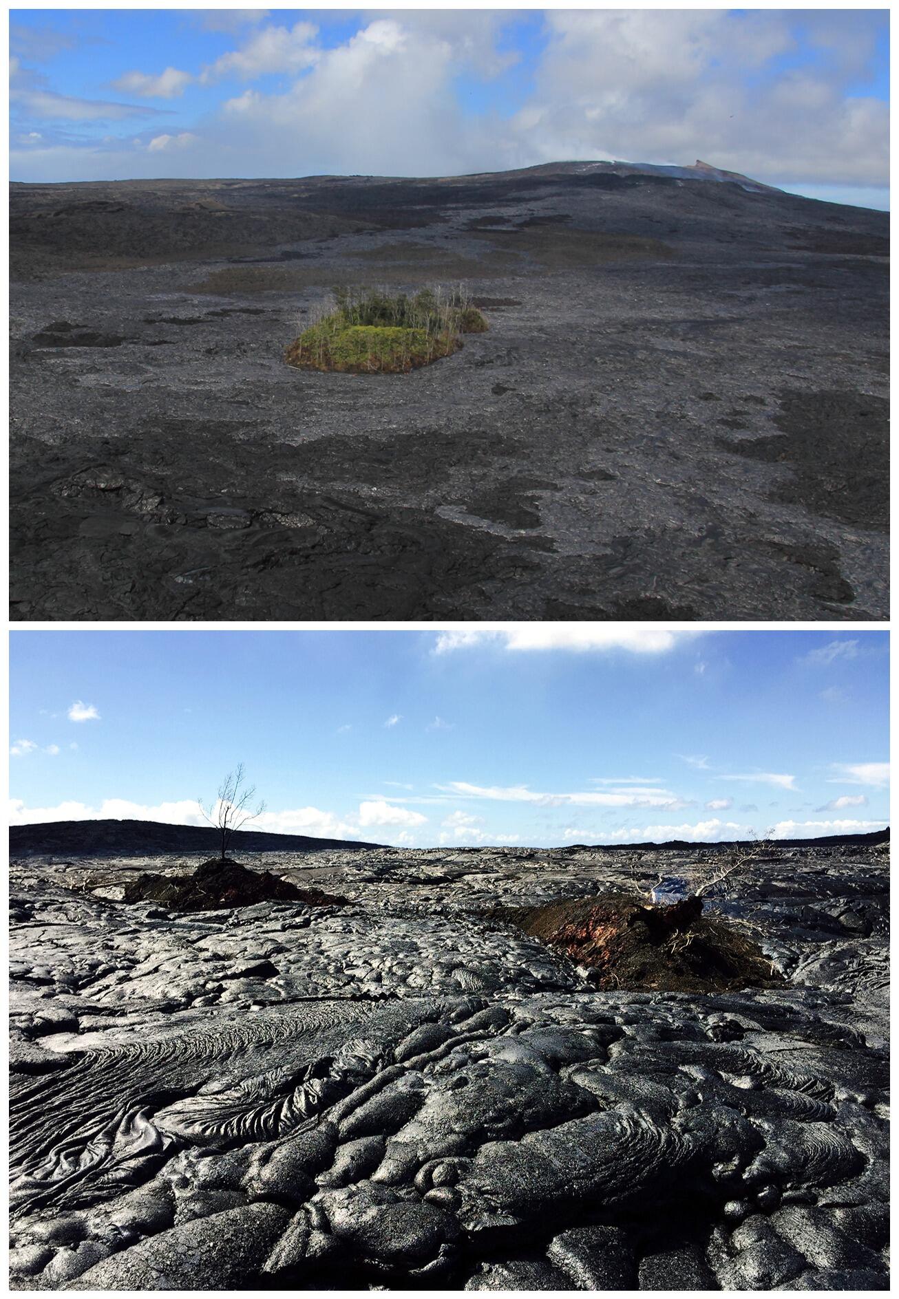 "Leaky" lava tubes spread flows only short distances from Pu‘u ‘Ō‘ō...