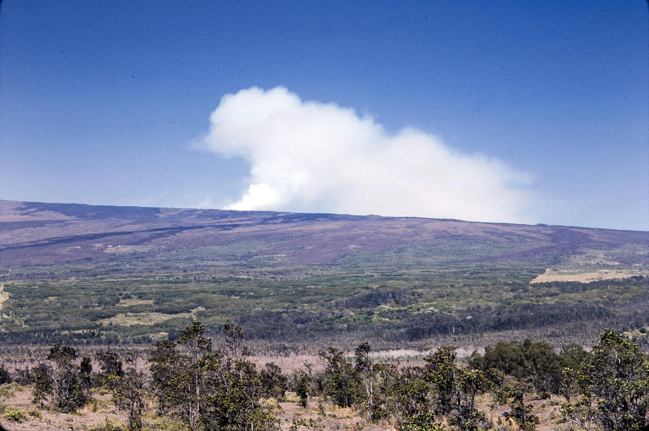 Late morning view of March 25, 1984 eruption cloud (steam and volca...