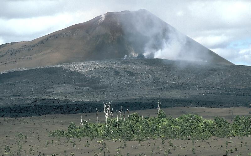 View of Pu‘u ‘Ō‘ō's west flank in 1992, and shield growing at base ...