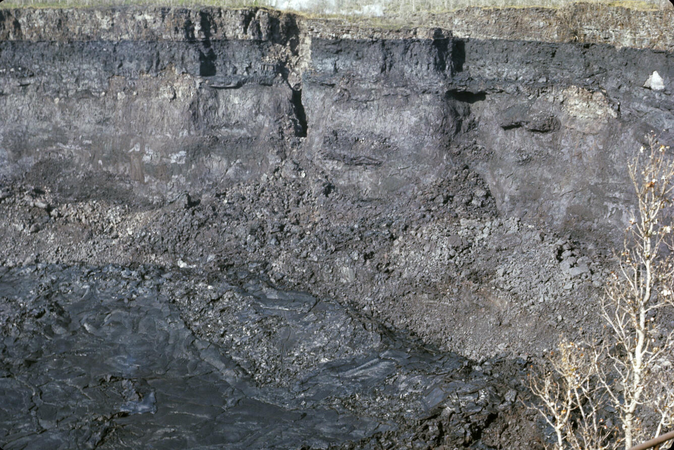 East end of 'Alae Crater after catastrophic draining on August 4, 1...