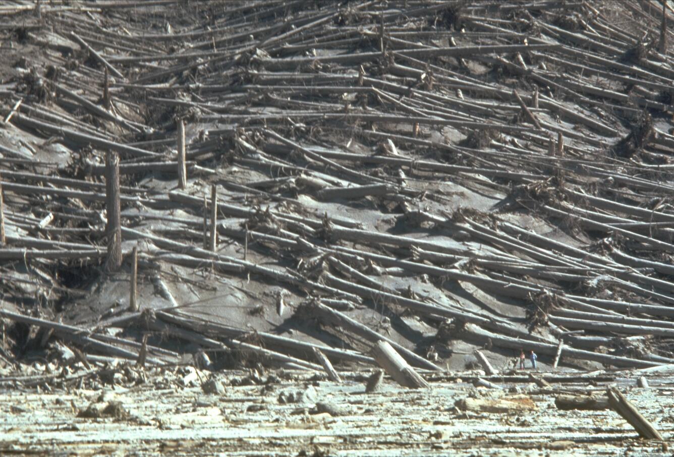 The slopes of Smith Creek valley, east of Mount St. Helens, show tr...