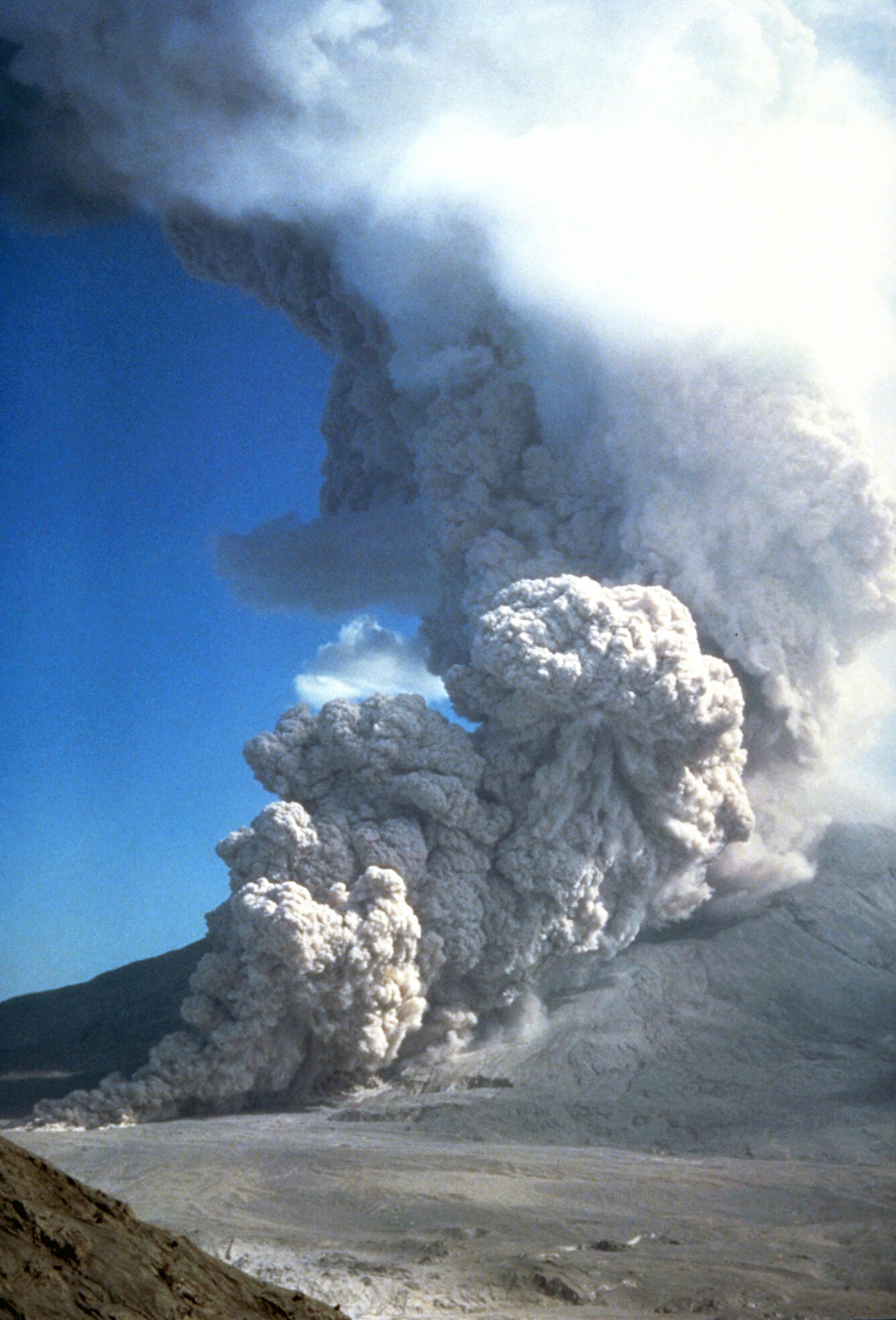 Pyroclastic flow from the August 7, 1980 eruption stretches from Mo...