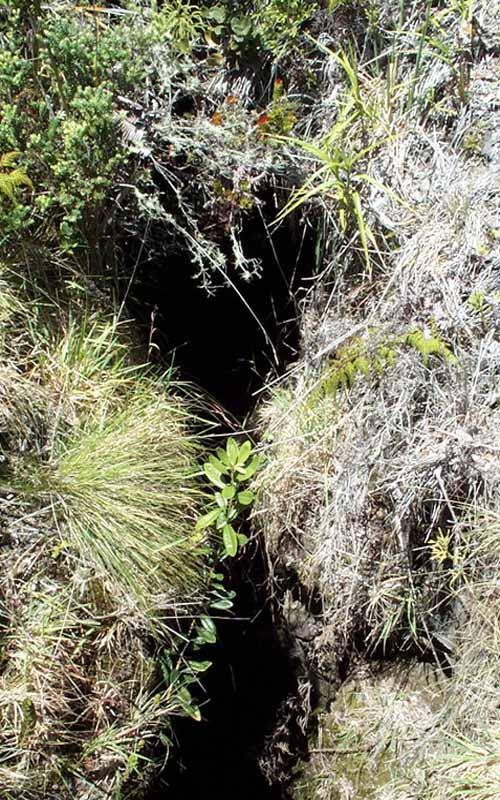 Kīlauea's all cracked up, and that's not funny...