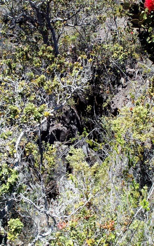 Kīlauea's all cracked up, and that's not funny...