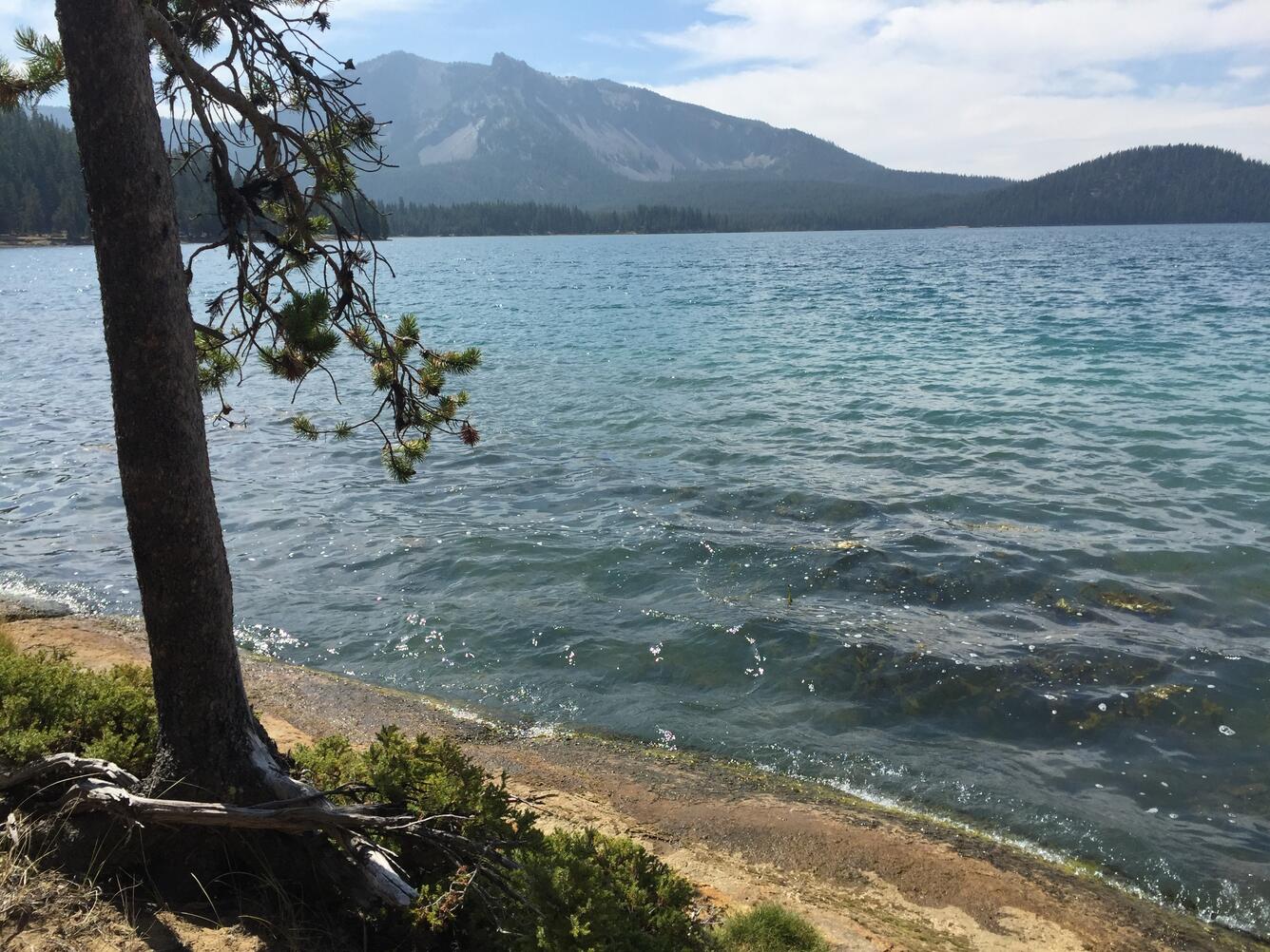 Paulina Lake, in the caldera of Newberry Volcano. View looking sou...