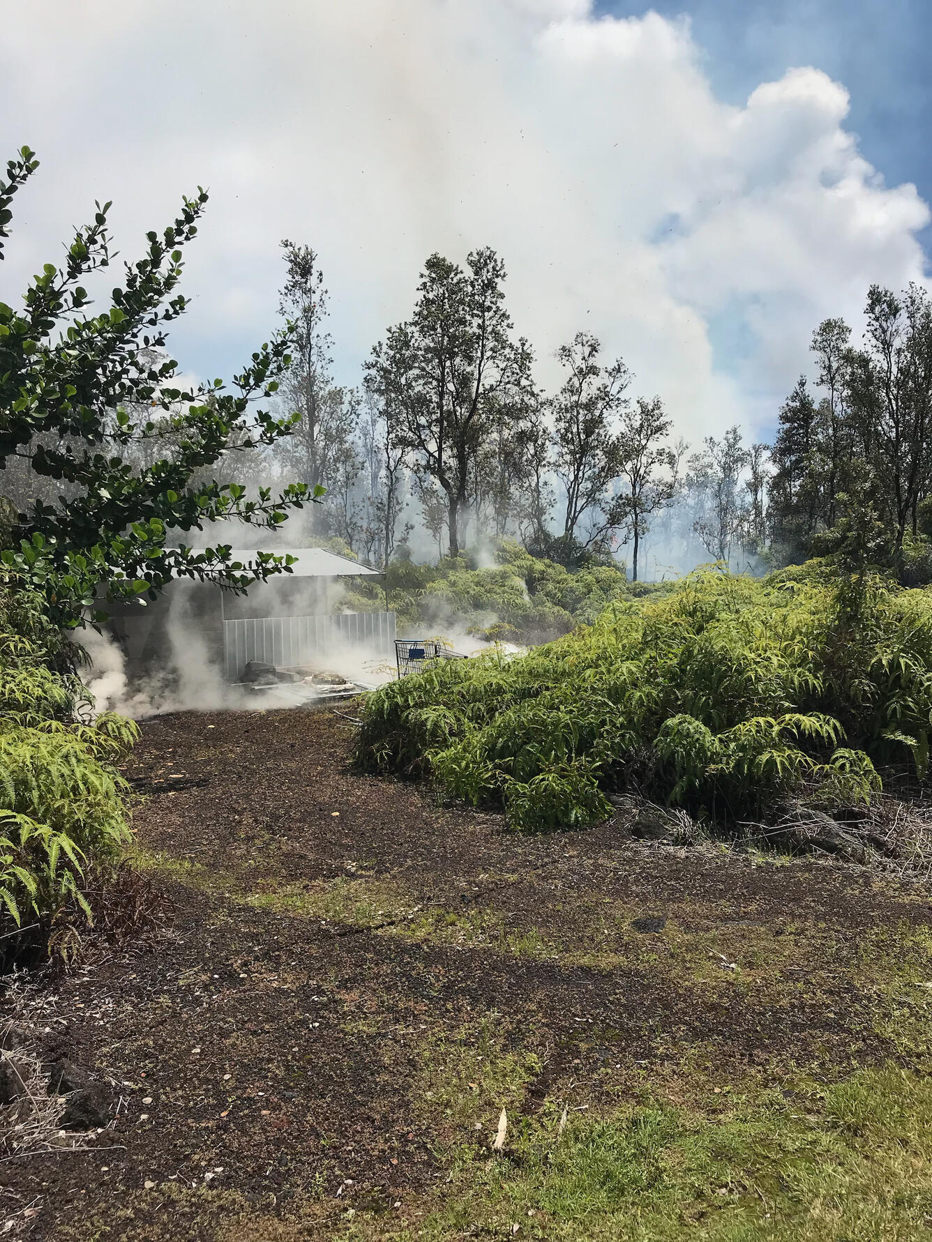 Fissure 4 eruption opened in forest around 10:39 a.m. between Kaupi...