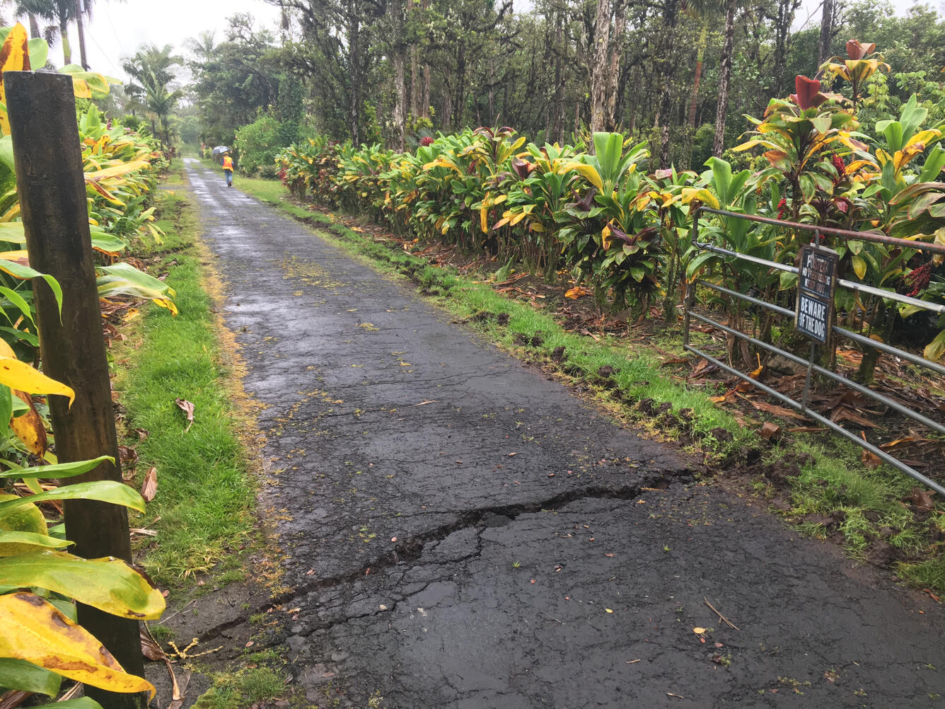 08:58 HST. Crack on Old Kalapana Road, Leilani Estates subdivsion...