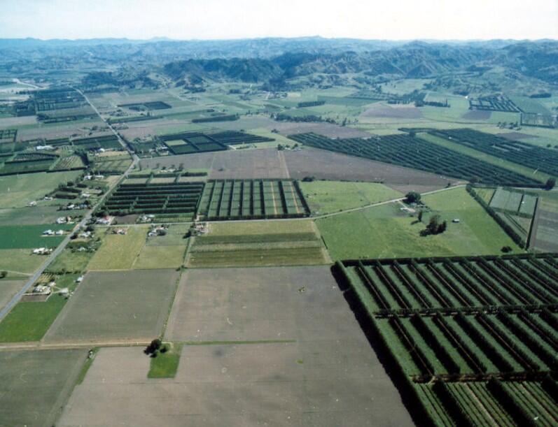 Mixed agricultural land including abundant vineyards in the Gisbour...