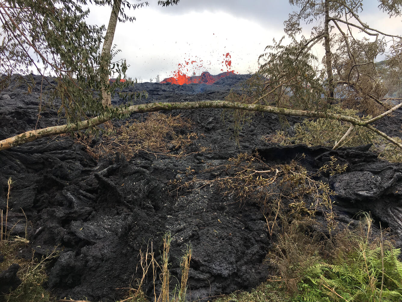 At 12:57 p.m. HST, spattering is visible at fissure 16....