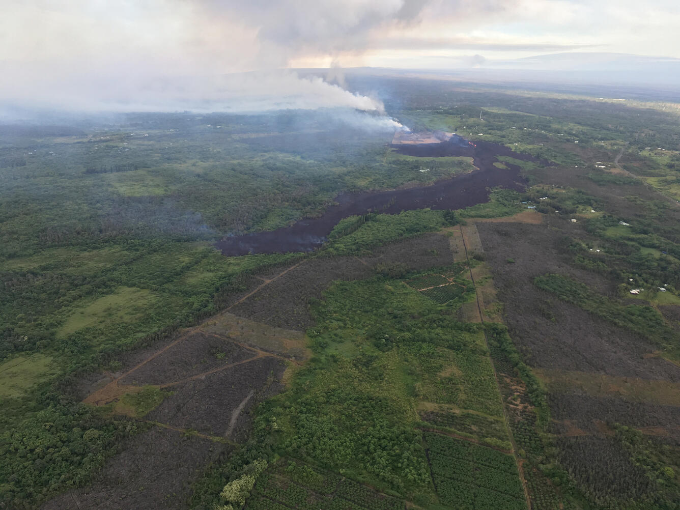 Aerial photo of ‘A‘ā flow (middle of photo) spreading from fissure ...