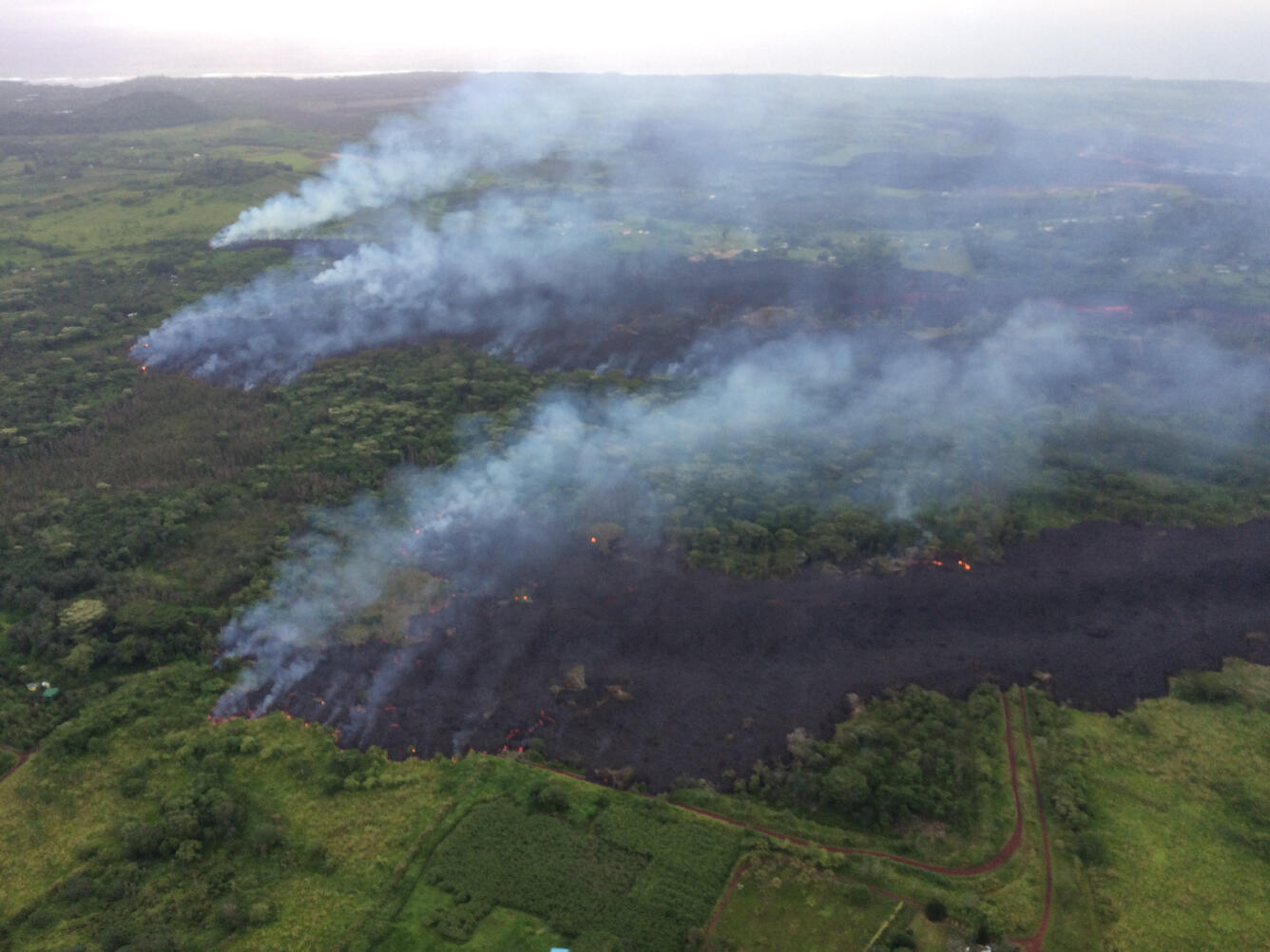 Fissure 8 lobes advance...