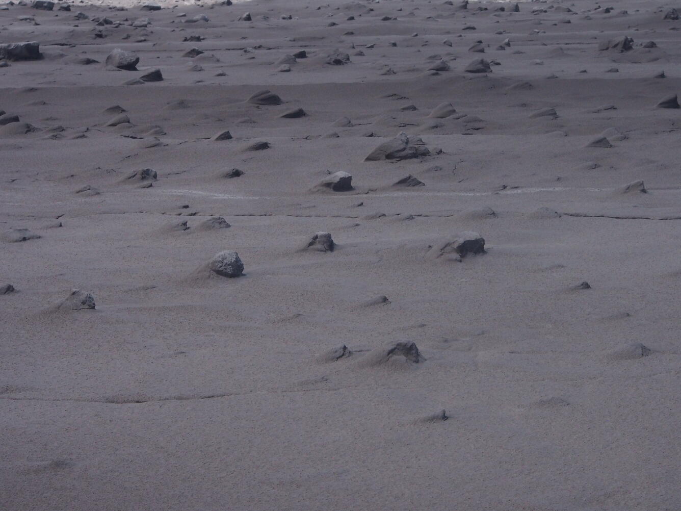 Many large blocks appeared to be in depressions in the ash, but upo...