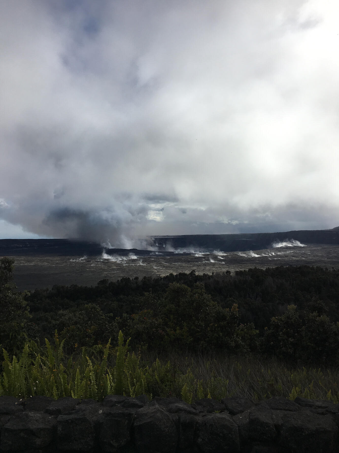 Degassing and rockfalls from the eastern side of Halema‘uma‘u...