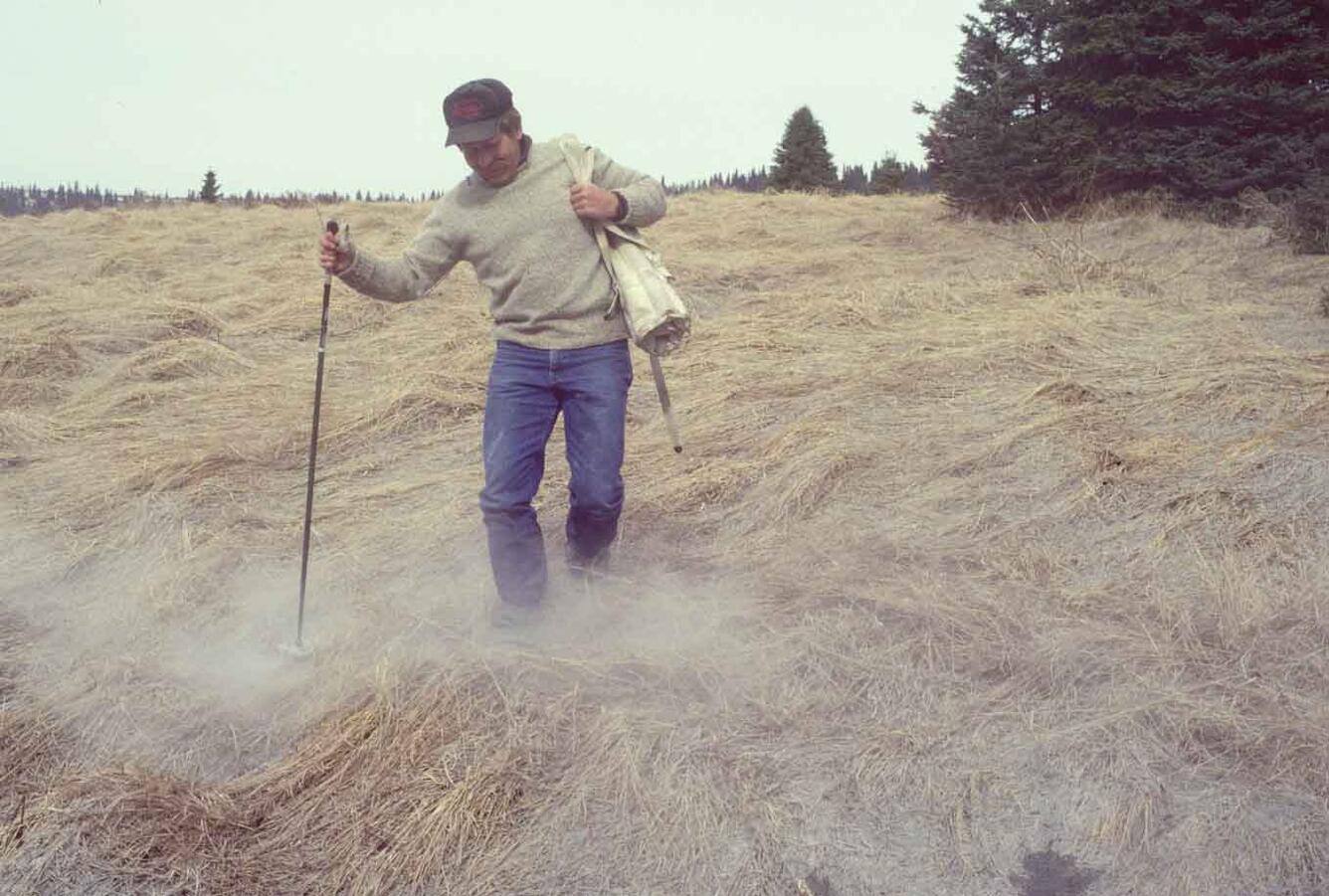 Minor ashfall on hay field, Augustine eruption, Homer area, Alaska,...