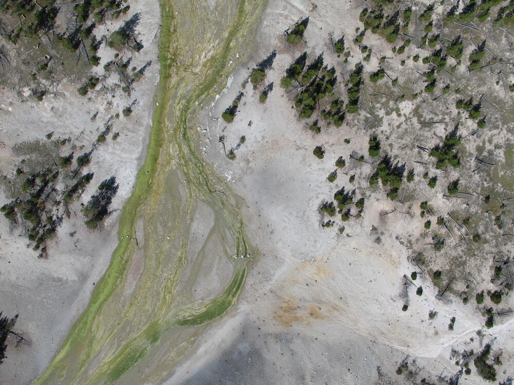 Tantalus Creek braids its way through the Norris Geyser Basin. Its ...